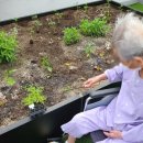 위더스요양병원 | 성남요양병원 요구사항이 바로바로 반영돼요