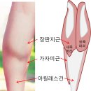 엄지연합의원 이미지