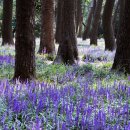 노송어린이공원 이미지