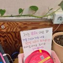 윤심이네 실비집 이미지