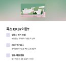 콕스 CK87 실사용 후기 적축·갈축 키감·소음·내구성
