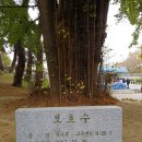 나드리까페 이미지