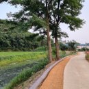 발안천 산책로 이미지