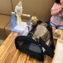 엘 미니동물원 네이버블로그