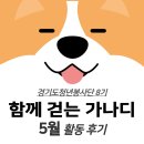 청년세탁 | 경기도청년봉사단 8기 [함께 걷는 가나디] 5월 후기