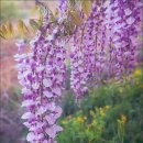 두월노을마을 이미지