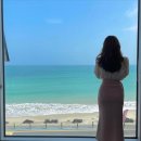 달비치 | 제주도 감성숙소,게스트하우스 | 달비치펜션,몽듀,애몽 내돈내산 후기