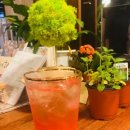 오미자 화장실 이미지