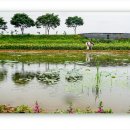 장성공원2 이미지