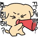 피자와일드 이미지