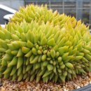 천화농장 이미지