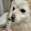 제마동물병원 이미지