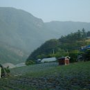 쌍둥이네민박 이미지