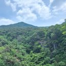 남산 Daum카페