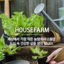 바질하우스