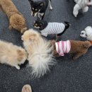 멍데이 살롱 이미지