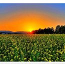 버스정류장(14-249) 이미지