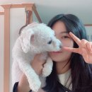 홀리카홀리카충장로점 | 🌸 여름 쿨톤 라이트 진단받고 추천받은 화장품 총정리