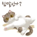 보라 검도관 이미지