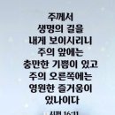 샬롬 - 유성구 엑스포로 488 | 샬롬