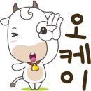 국제복싱클럽 이미지