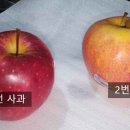 웰리스에어 이미지