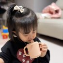 신세계어린이집 | 어린이집준비물 아기물컵 베아바 플래티넘 실리콘 양손 스파우트컵 사용 후기