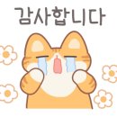 더예쁘지 이미지