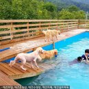 루이네하우스