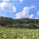 동서울레스피아GC 네이버블로그