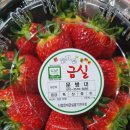과일사랑 이미지