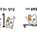 성장컴퍼니