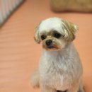 쓰담케어 이미지