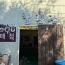 문수골 힐링캠핑장 이미지