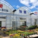 상춘꽃농원 이미지