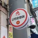 나인호영어