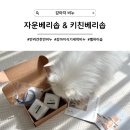 벨하이솝 | [강아지 비누] 저자극 프리미엄 천연비누 자운베리솝과 반려견 식기 세제 키친베리솝, 벨하이솝