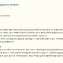 링크늘푸른동물병원 이미지
