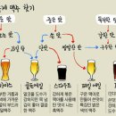 [Why] 집 밖으로 나온 하우스 맥주(수제 맥주)… 한국 맥주 맛 편견 깨다 이미지