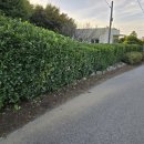 영인면 아산호로 이미지