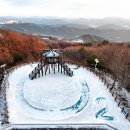 오투타임즈