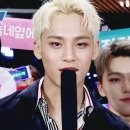 스타헤어라인 이미지