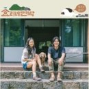 효리네 민박 이미지