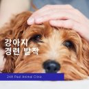 카카오 N 동물병원 이미지