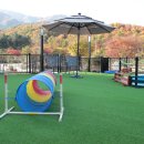 벨르앙쥬펜션 이미지