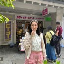 후쿠오카 아주 귀여운 수플레치즈케이크 카페와 링고아메 (모츠나베·캐널시티·로피아)