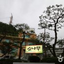 소나무집 이미지