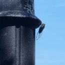 의료법인 대한불교조계종 승려복지 아미타불교요양병원 이미지