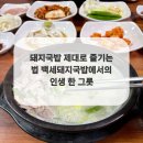 백세인생백세돼지