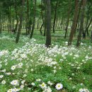 산내면사무소 이미지